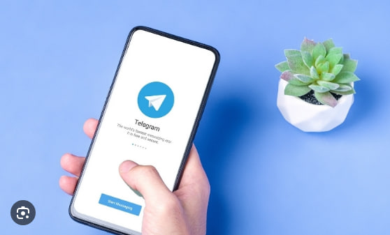Telegram下载:Telegram如何设置群组权限？