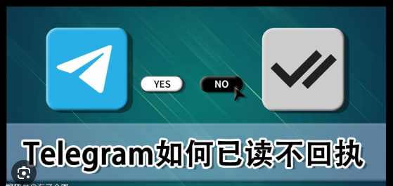 Telegram如何查看对方是否已读消息?|Telegram下载
