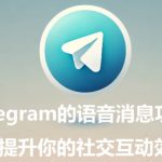 如何在Telegram中设置语音消息自动播放？|纸飞机下载