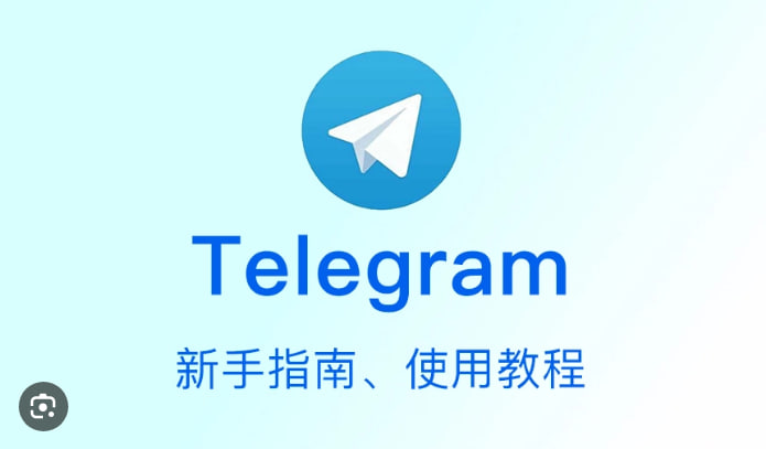 Telegram如何使用聊天统计功能?-Telegram下载